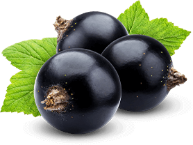 Blackcurrants